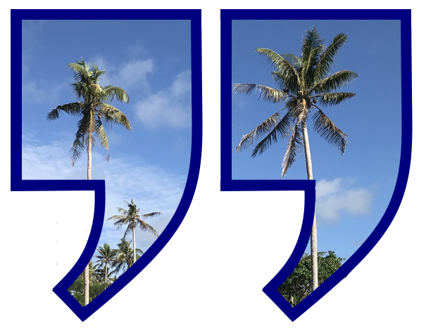 Palms